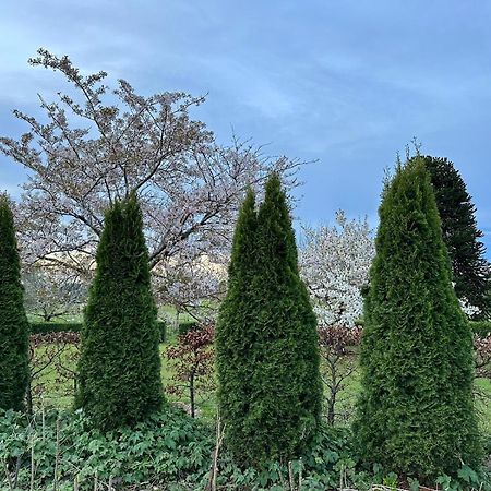 Whiteacres Bed & Breakfast Invercargill Luaran gambar