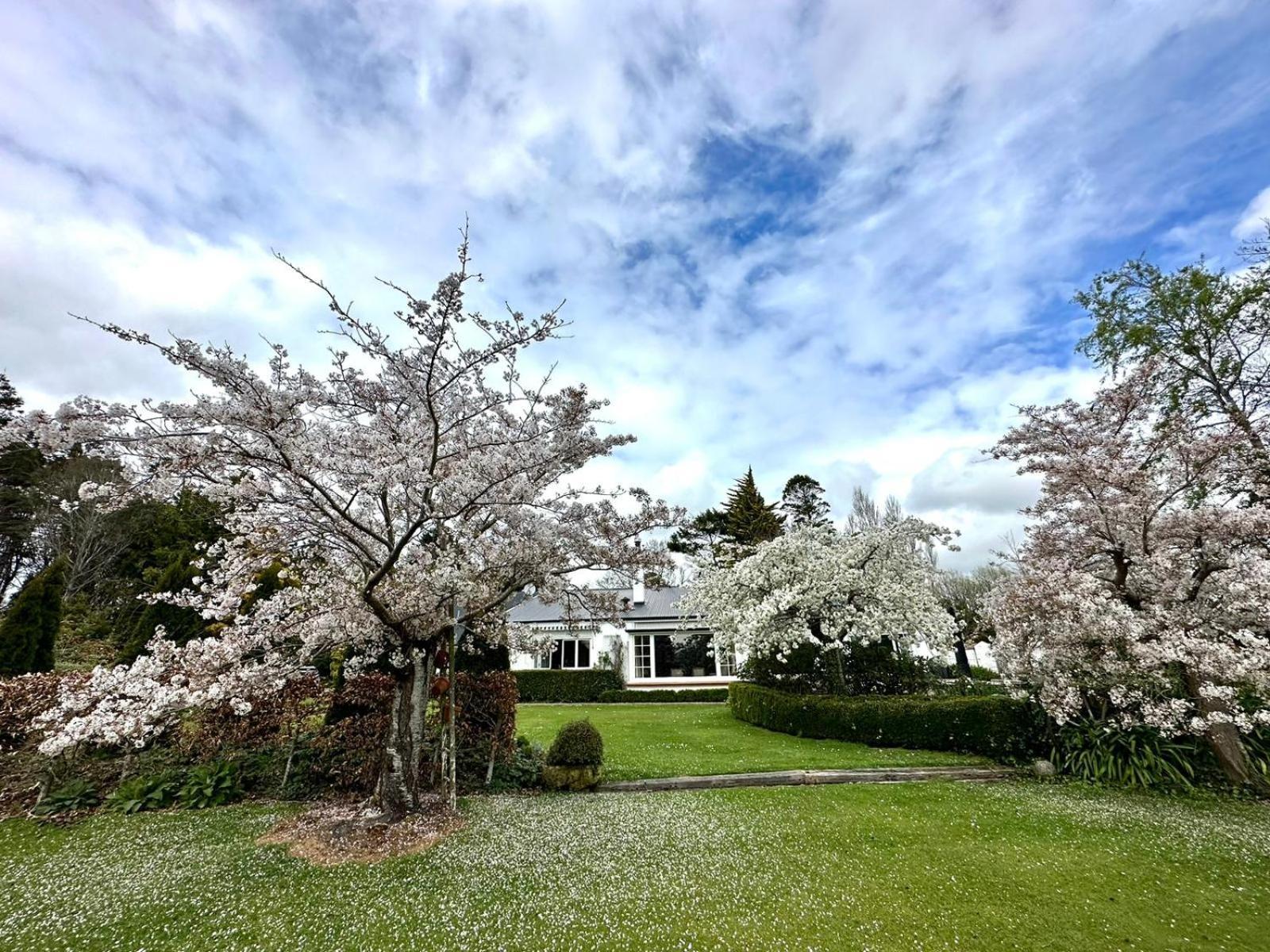 Whiteacres Bed & Breakfast Invercargill Luaran gambar