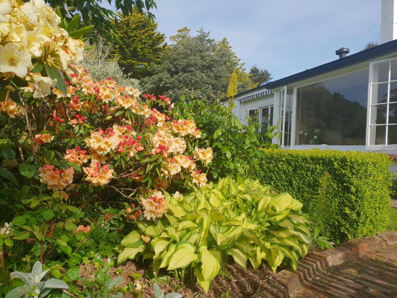 Whiteacres Bed & Breakfast Invercargill Luaran gambar